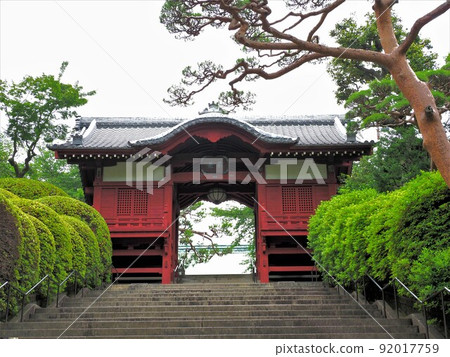 Gokokuji Temple, Chiyoda-ku, Tokyo 92017759