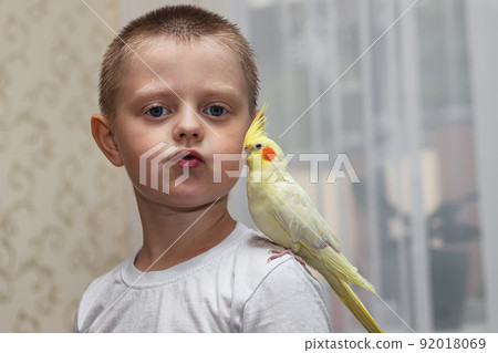 Pet parrot corella sits on the shoulder of a little boy 92018069