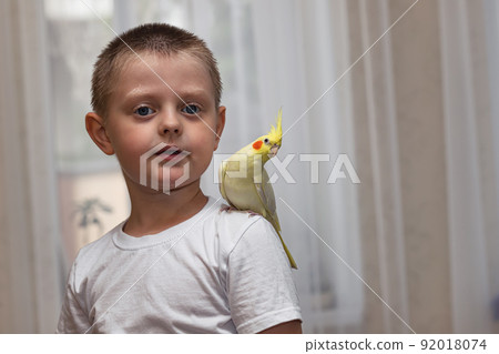 Pet parrot corella sits on the shoulder of a little boy 92018074