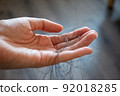 Hair loss concept. 92018285