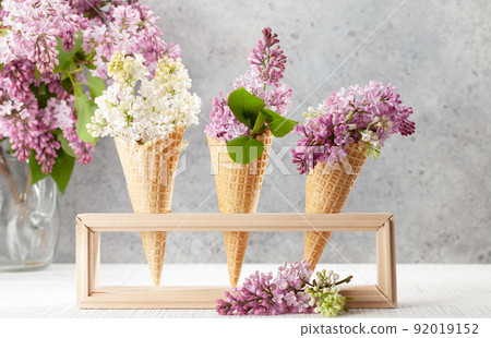Various lilac flowers in ice cream cones Various lilac flowers in ice cream cones 92019152