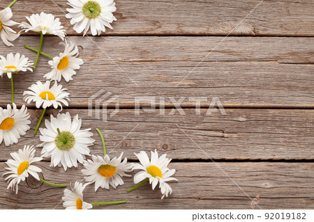 Chamomile garden flowers on wooden background Chamomile garden flowers on wooden background 92019182