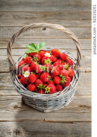 Ripe strawberries in basket 92019201