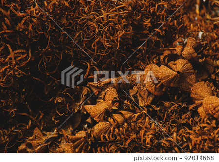 Orange rusty steel twisted spiral from the lathe shavings. Metal shaving - industrial garbage Orange rusty steel twisted spiral from the lathe shavings. Metal shaving - industrial garbage 92019668