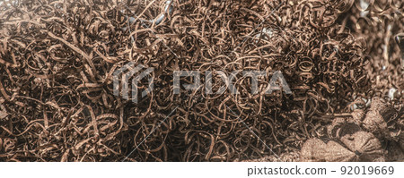 Closeup scrap rusty steel twisted spiral from the lathe shavings. Metal shaving - industrial garbage Closeup scrap rusty steel twisted spiral from the lathe shavings. Metal shaving - industrial garbage 92019669