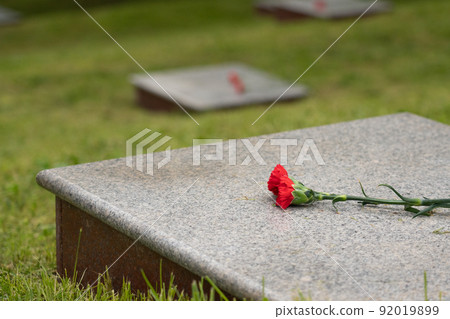 Stone slabs at the memorial to fallen soldiers. 92019899