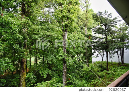 ANA 信濃大町黑淵假日酒店（酒店房間、樹木、陽台、高爾夫球場） 92020987