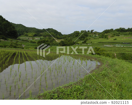 Rice terraces in Asuka village where seedlings were planted Rice terraces in Asuka village where seedlings were planted 92021115