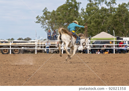 Cowboy On Bucking Bronco At Rodeo Cowboy On Bucking Bronco At Rodeo 92021358