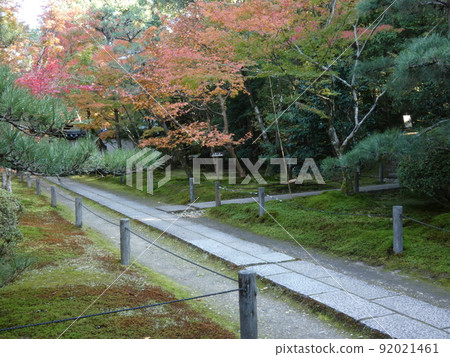 彩色葉子的花園景觀,為通往主廳的石板路著色 彩色葉子的花園景觀,為通往主廳的石板路著色 92021461