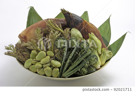 Spring vegetables 92021711