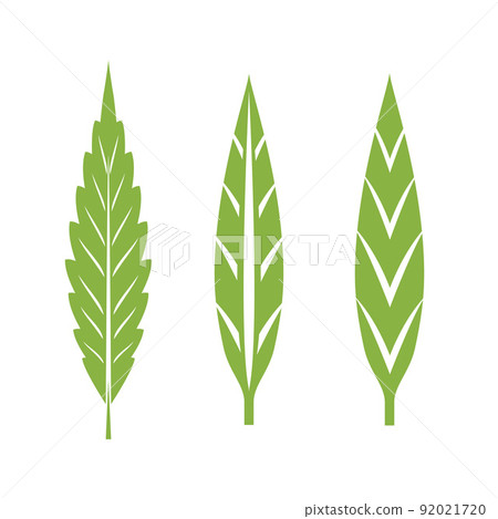 Cannabis Leaf Cannabis Leaf 92021720