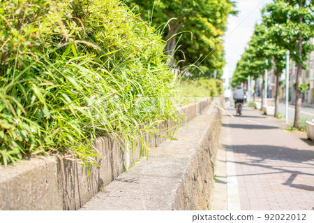 金町車站前住宅小區/東京都葛飾區周邊 金町車站前住宅小區/東京都葛飾區周邊 92022012