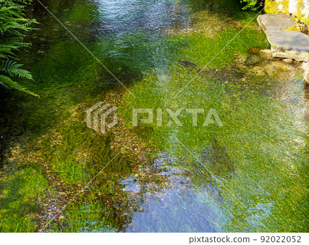 Jizo River and plum blossom algae in Samegai-juku 92022052