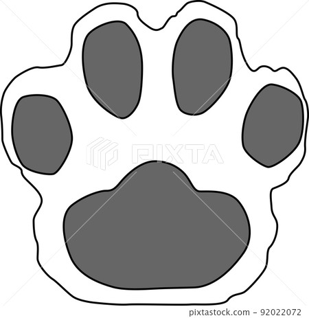 Cute white cat paws 92022072