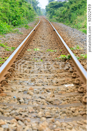 Single track of local line surrounded by forest 92022459