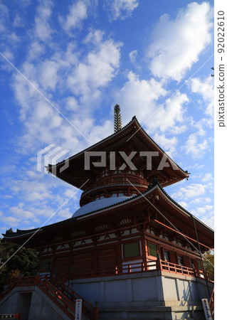 Autumn leaves and yellow leaves of Naritasan Shinshoji Temple and Naritasan Park Autumn leaves and yellow leaves of Naritasan Shinshoji Temple and Naritasan Park 92022610