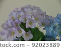 繡球花和麵包花的人造花（樹脂粘土作品） 92023889