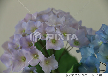 繡球花和麵包花的人造花（樹脂粘土作品） 92023889