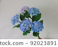 繡球花和麵包花的人造花（樹脂粘土作品） 92023891