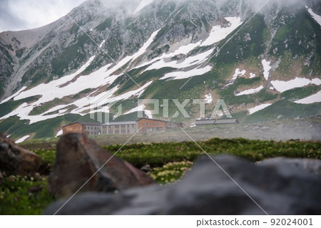 Murododaira (Tateyama mountain range, remaining snow, clouds, fog, small flowers) 92024001