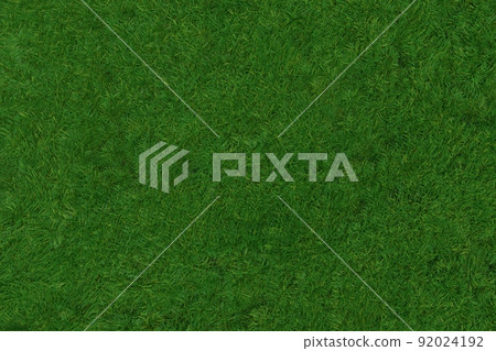 A bird's-eye view of the lawn texture A bird's-eye view of the lawn texture 92024192