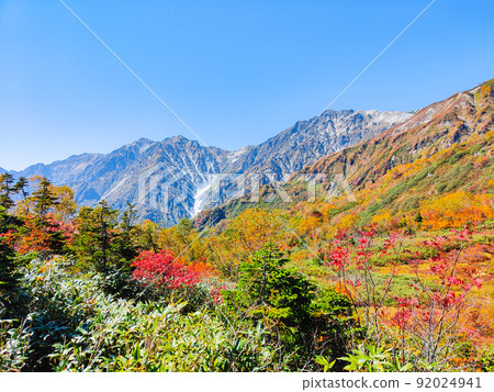 Tsugaike Nature Garden (Autumn) 92024941