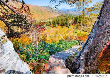 Tsugaike Nature Garden (Autumn) 92025054