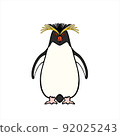 端莊可愛的跳岩企鵝Rockhopper 92025243