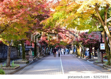 Kegonji Temple, Kegonji Temple, Ibi-gun, Gifu Prefecture 92025935