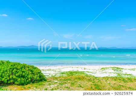 The sea of Okinawa 92025974