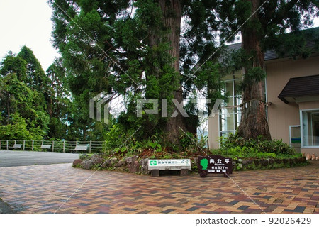 Bijodaira Station (Bijodaira Bijosugi) 92026429