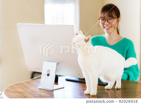 Cats and ladies 92026918