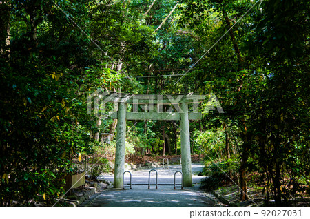 Munakata Shrine Hetsumiya, Fukuoka Prefecture-Torii in the precincts- 92027031