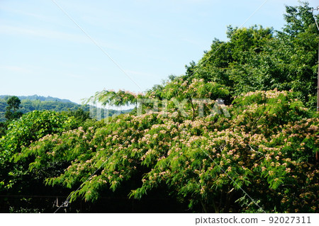 在Horinouchi的Satoyama Hachioji市 在Horinouchi的Satoyama Hachioji市 92027311