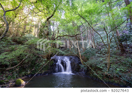 綠意盎然的七夏瀑布 92027643