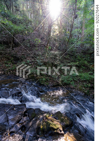 綠意盎然的七夏瀑布 92027644