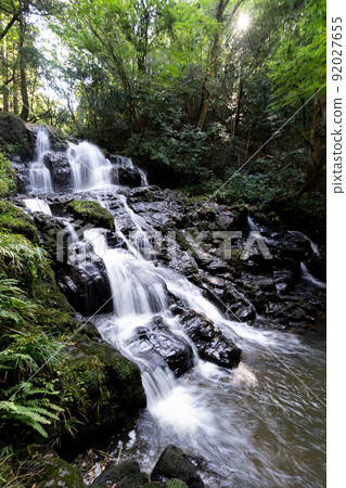 Nanatsu Falls flowing down in the bright green Nanatsu Falls flowing down in the bright green 92027655