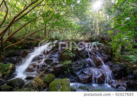綠意盎然的七夏瀑布 92027685