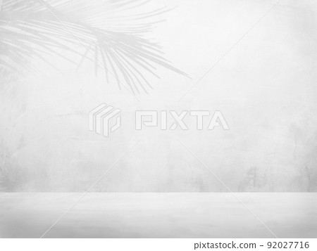 牆壁和棕櫚葉的陰影 92027716