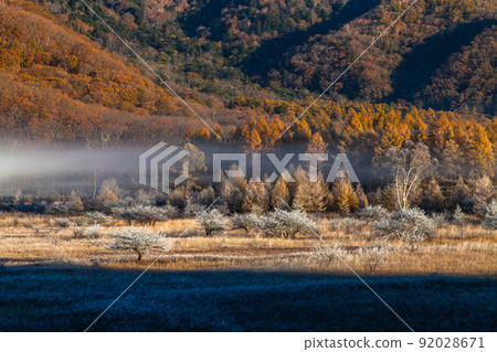 [Oku-Nikko, Tochigi Prefecture] Odashirogahara, where the lady waits October 92028671