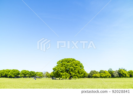 與綠色和藍天的風景 與綠色和藍天的風景 92028841