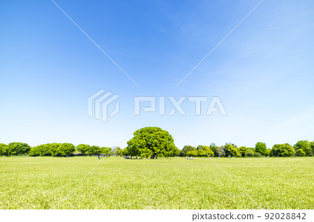 Landscape with green and blue sky Landscape with green and blue sky 92028842