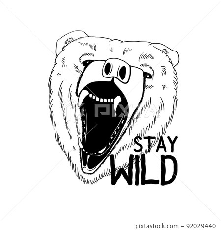 Vector Bear isolated on white background with say wild slogans. Furious bear head. Bear silhouette. 92029440