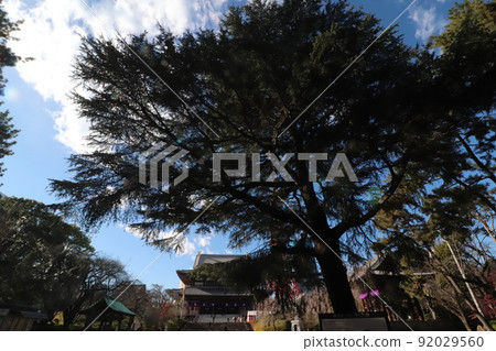 增上寺的格蘭特將軍馬祖 增上寺的格蘭特將軍馬祖 92029560