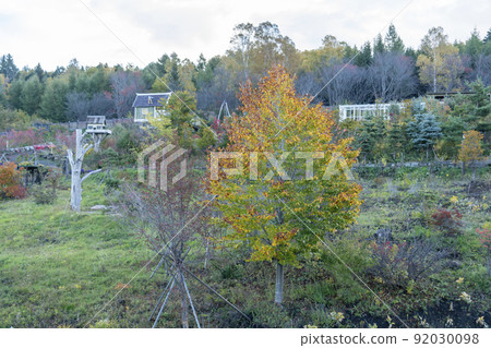 Abashiri: Autumn leaves of Mt. Tento 92030098