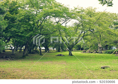 100 Fine Castles of Japan, Hikone Castle 100 Fine Castles of Japan, Hikone Castle 92030666