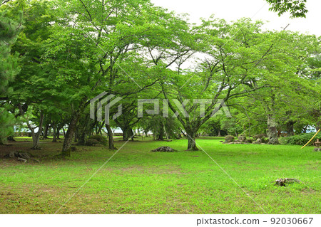 100 Fine Castles of Japan, Hikone Castle 92030667