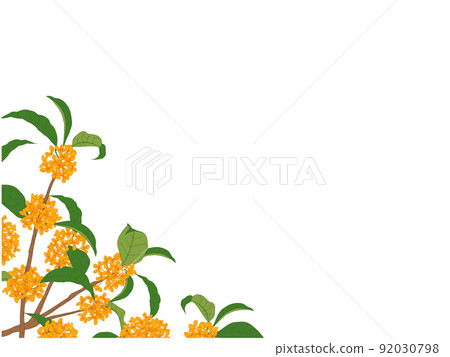 金木犀⑪的架子（舔，左下） 92030798