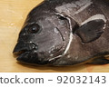 條紋喙魚臉 92032143